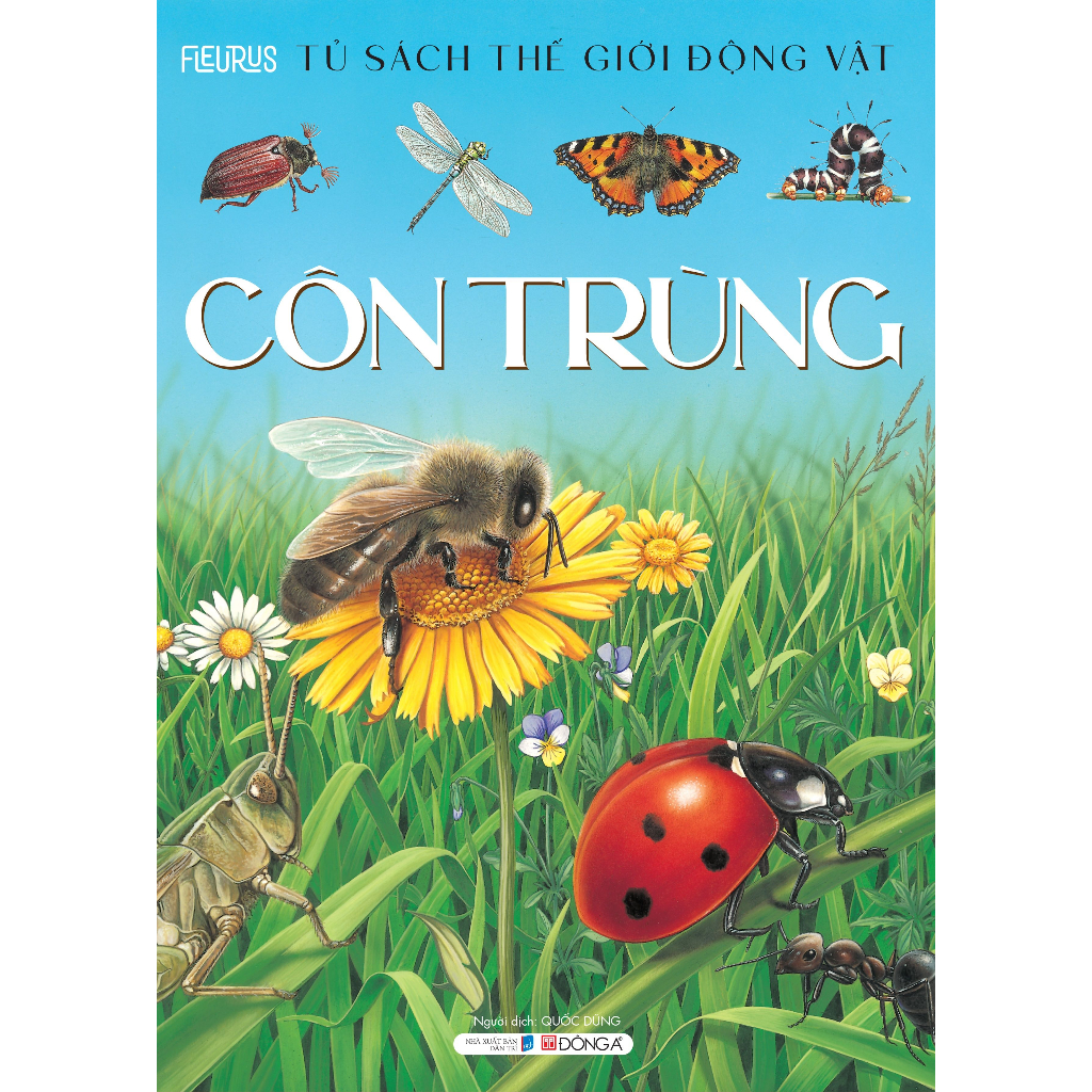Sách Thế Giới Động Vật - Côn Trùng - ĐA