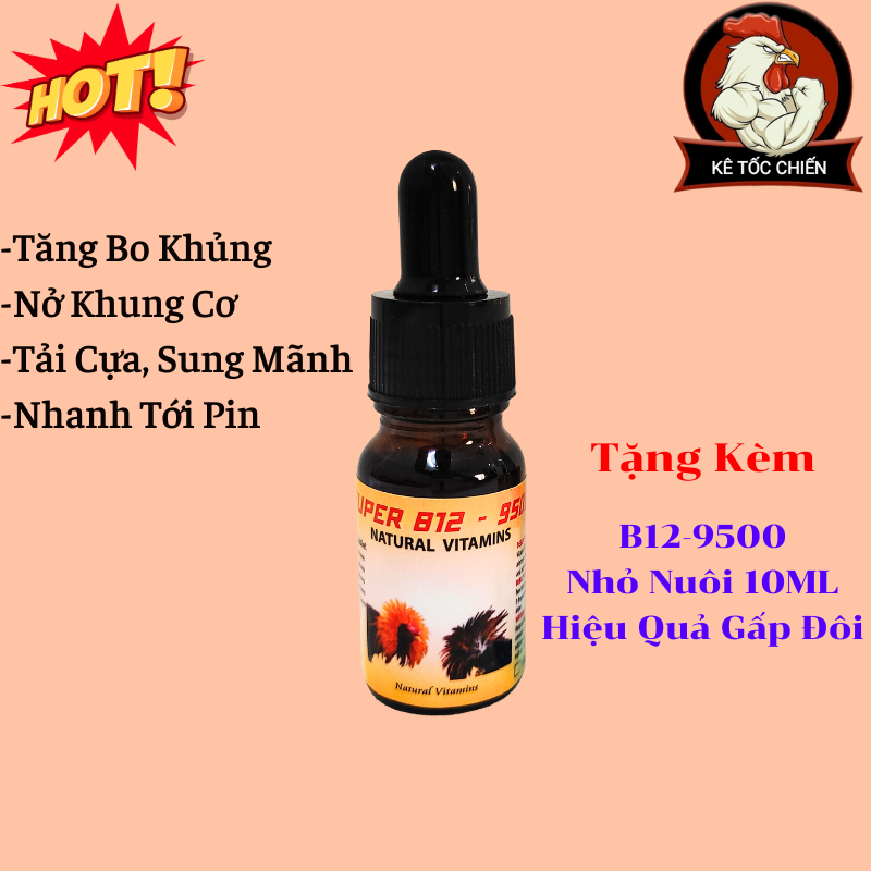 Hộp B12 9500 Nuôi Gà Chiến  100 viên + Tặng 10ml Nhỏ nuôi B12