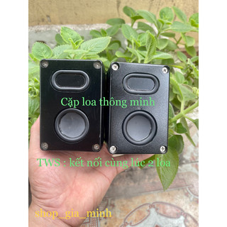 TWS cặp loa không dây