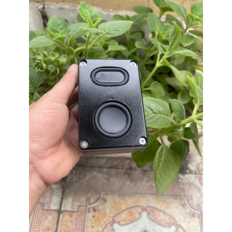 TWS cặp loa không dây