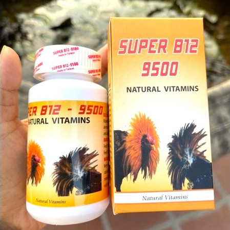 Hộp B12 9500 Nuôi Gà Chiến  100 viên + Tặng 10ml Nhỏ nuôi B12
