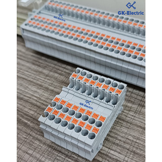 Cầu đấu dây pt2.5-twin