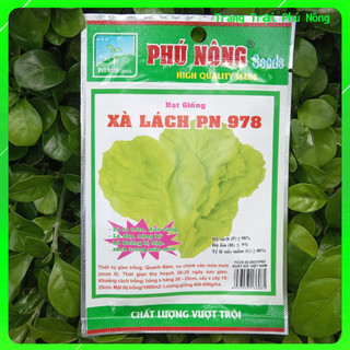 Hạt Giống Xà Lách PN-978 Phú Nông - Gói 10g - Lettuce