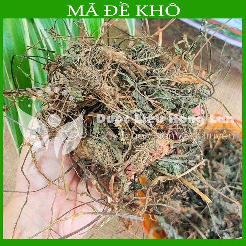 Thảo dược MÃ ĐỀ khô sạch đóng gói 500gram - congtyduoclieuhonglan