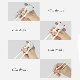 Đũa tập ăn cho bé cao cấp Misuta