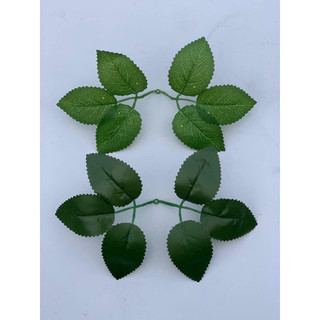 Lá hoa hồng in đường gân lá. Lá hoa hồng trơn bó hoa, decor