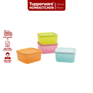 Bộ hộp bảo quản thực phẩm Small Square Round 650ml - Tupperware
