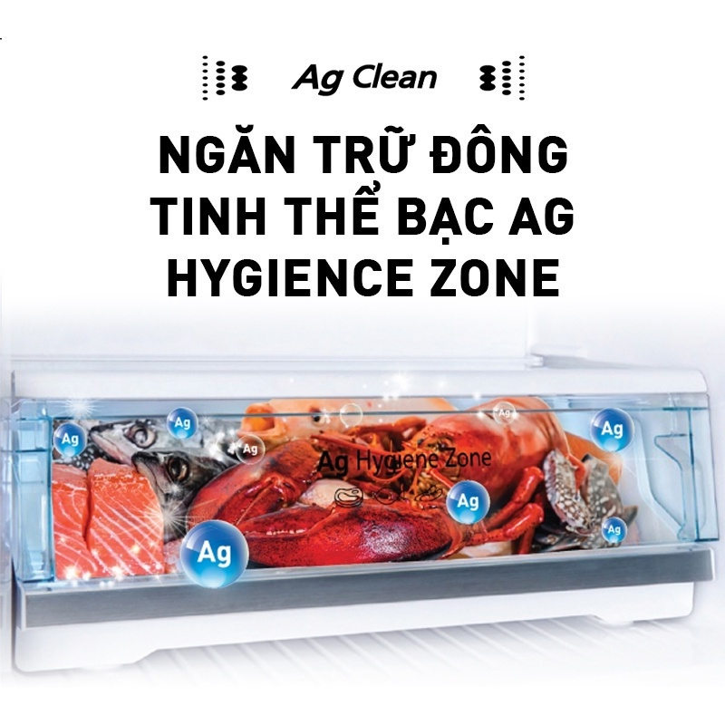 Tủ lạnh Panasonic 326 lít NR-TL351GPKV - Lấy nước ngoài - Làm đá siêu tốc