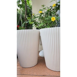 Combo 2 chậu nhựa trồng hoa dáng cao 30cm, chậu gân sọc 24x30cm