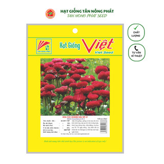 Hạt giống hoa cúc hoàng hậu np 37_ gói 0,2gr