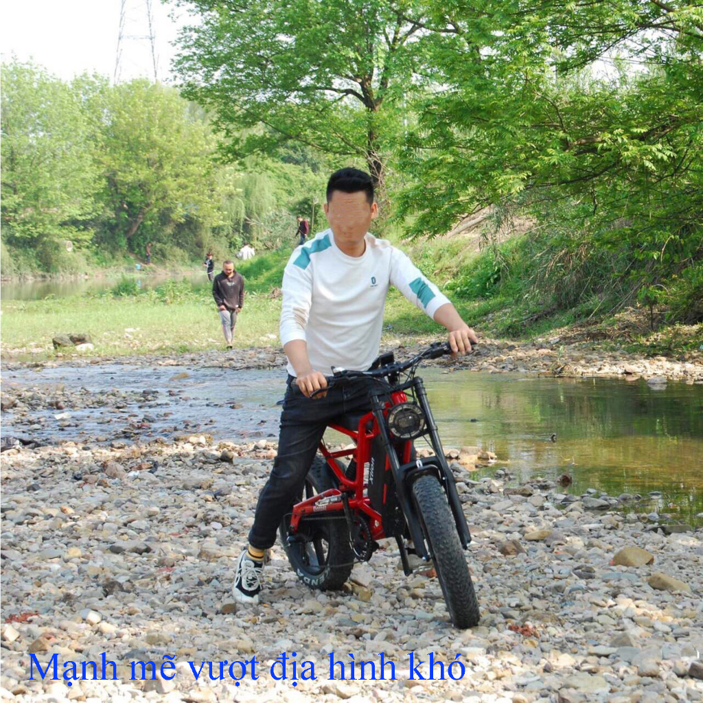 Xe đạp điện bánh béo S1