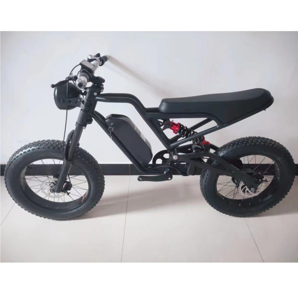 Xe đạp điện bánh béo S1