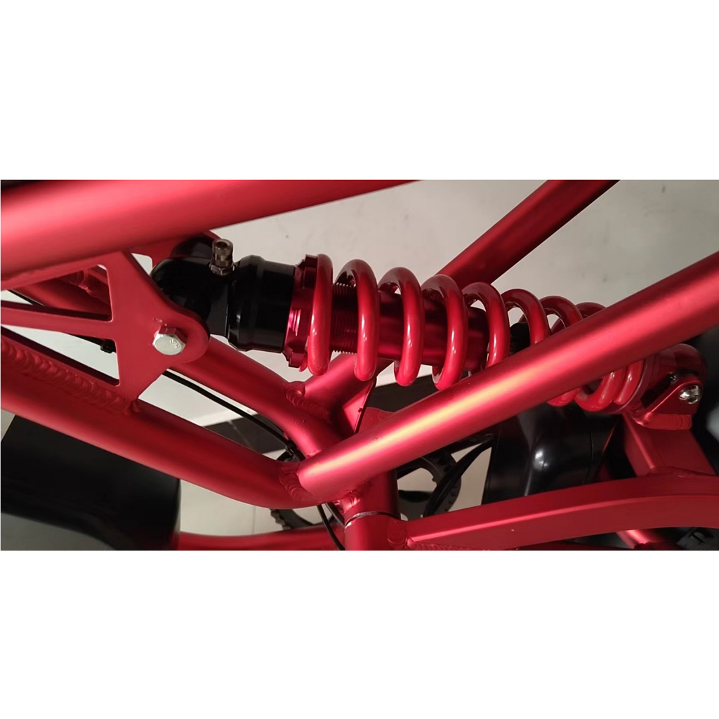 Xe đạp điện bánh béo S1