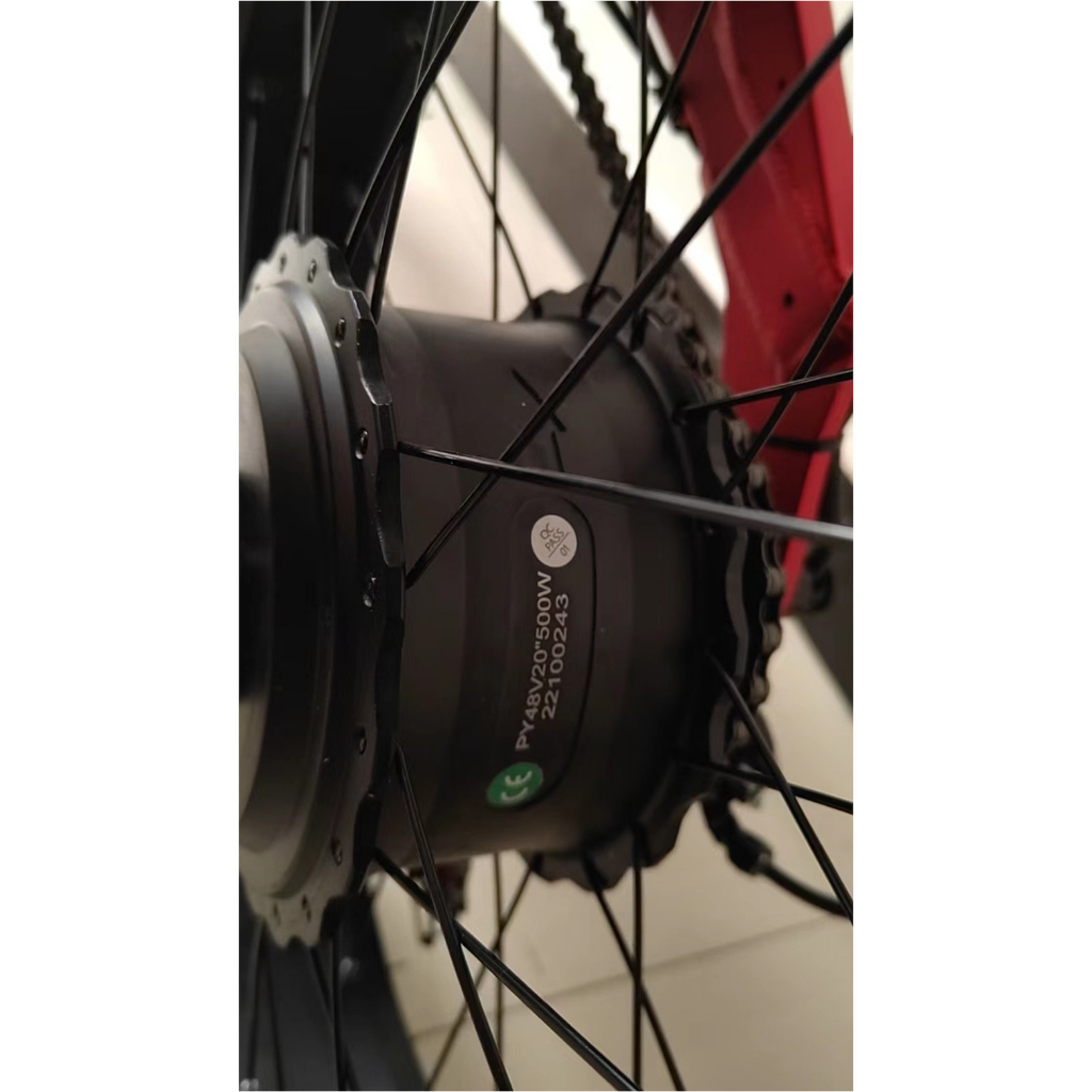 Xe đạp điện bánh béo S1