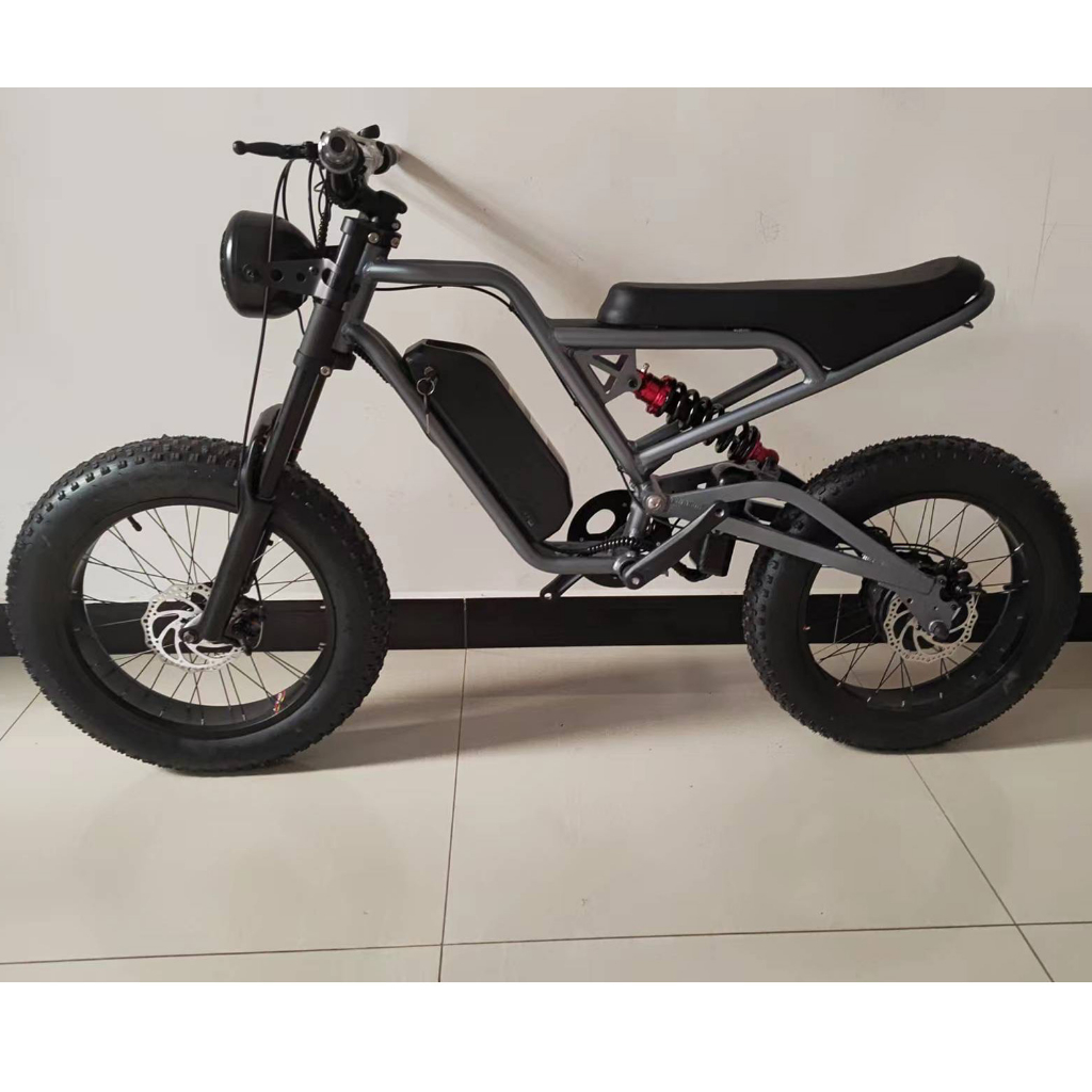 Xe đạp điện bánh béo S1