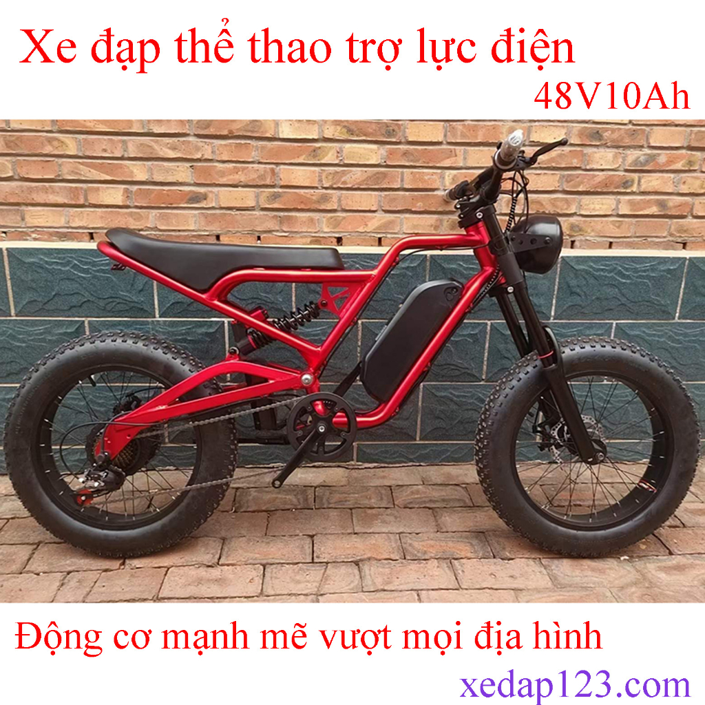 Xe đạp điện bánh béo S1