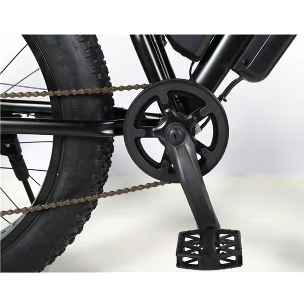 Xe đạp điện bánh béo 26inch BNQ-E