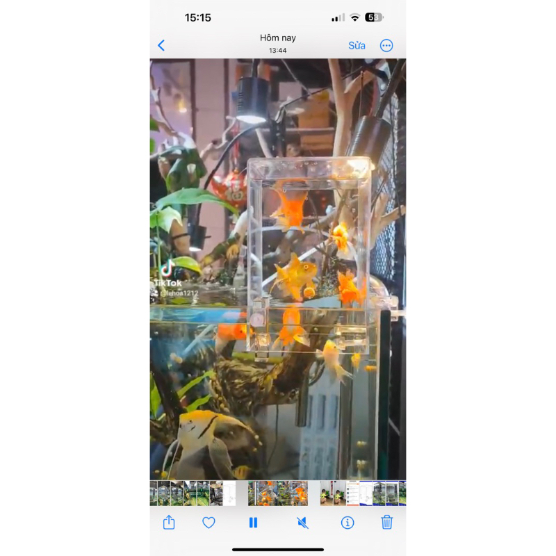 Box Acrylic VOONLINE - Box Úp Ngược Trang Trí Bể Cá