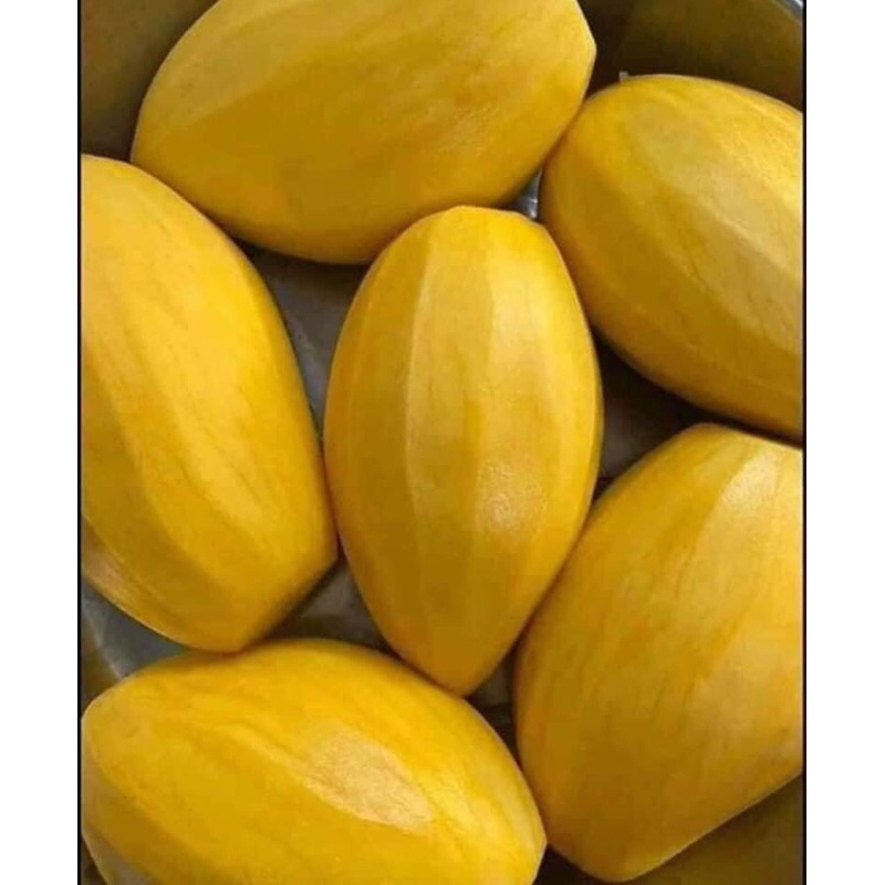 xoài cát hoà lộc 1kí