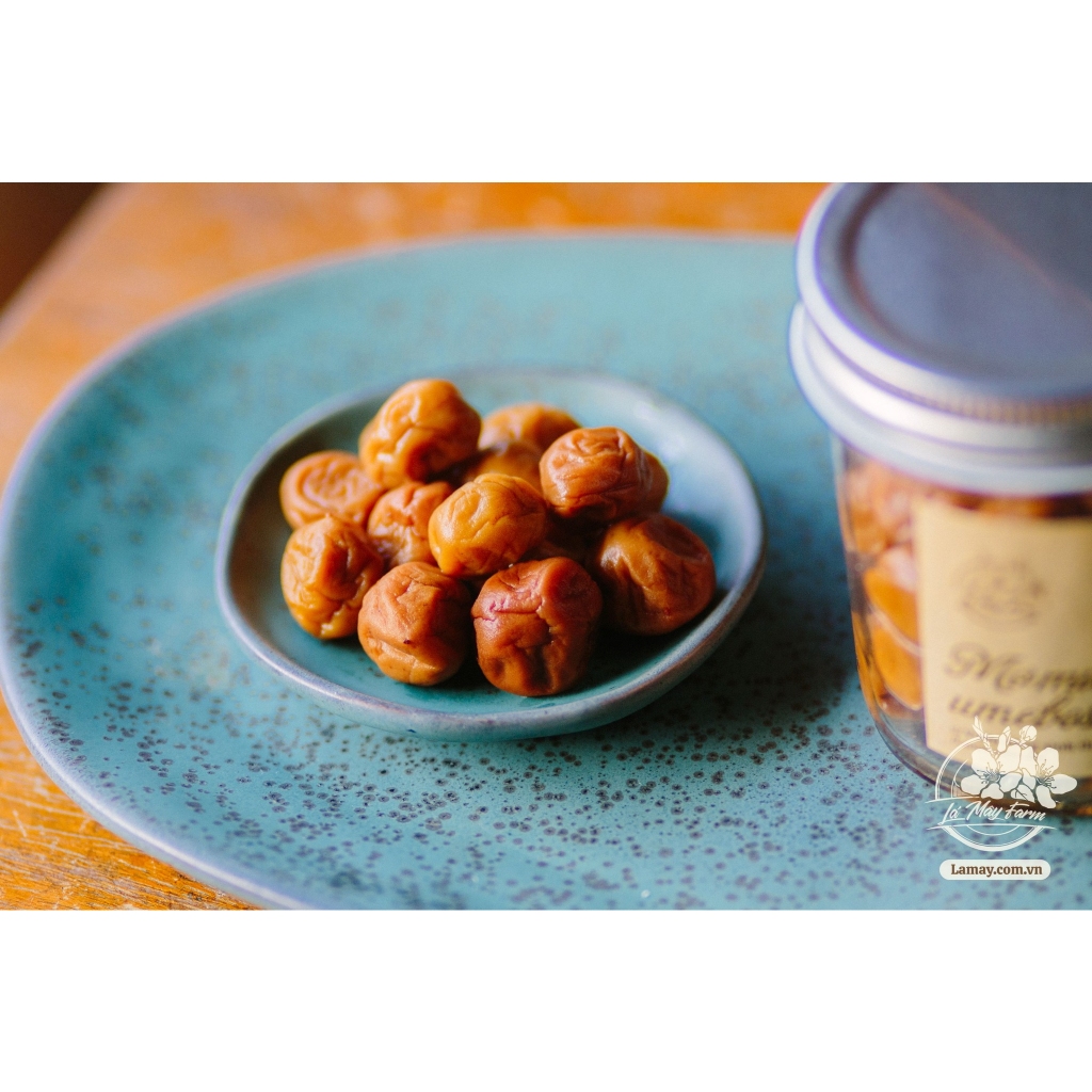 Mơ muối umeboshi, mơ xanh mơ ta ủ muối kiểu Nhật Bản, đánh thức đường ruột làm sạch hệ tiêu hóa - Vườn rừng Lá Mây Farm