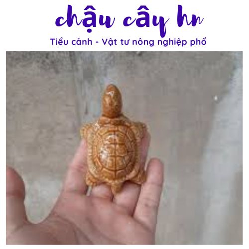 Mô hình rùa con trang trí bể cá, làm mô hình, tiểu cảnh sân vườn
