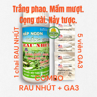 [COMBO] RAU NHÚT - TRẮNG PHAO - MẬP NGỌN - DÀI CỌNG
