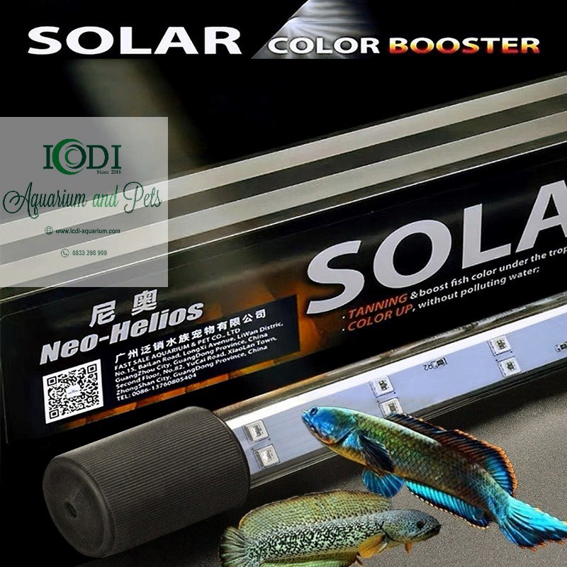 Đèn Cá Rồng MAYIN Super Colour 52cm 72cm 92cm 112cm - Đèn NeoHelios Solar Color Booster ST
