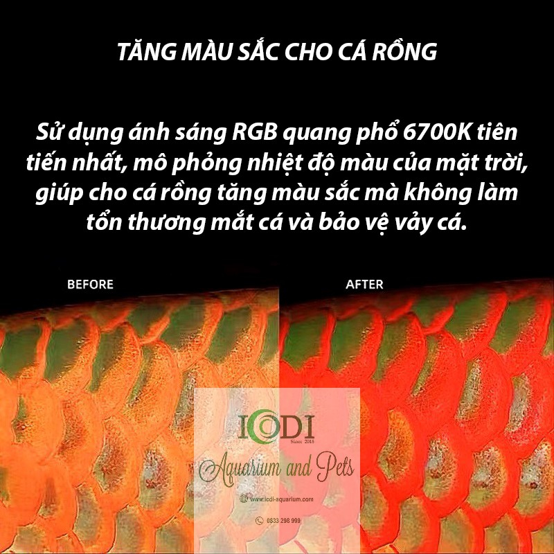 Đèn Cá Lóc Neo-Helios Solar Color Booster