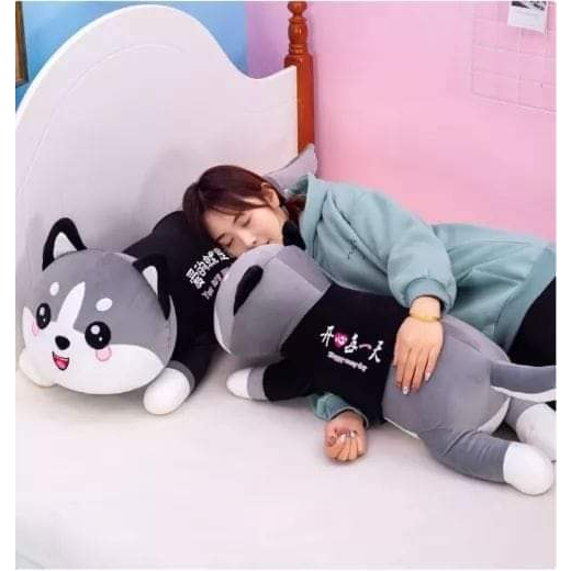 Gấu bông mèo Husky má hồng Siêu To Khổng Lồ mềm mượt êm mượt dễ thương siêu đáng yêu rẻ đẹp