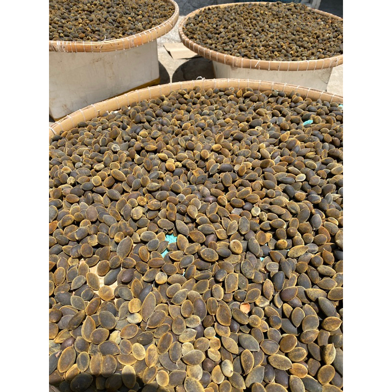 Trái xay túi 500gr