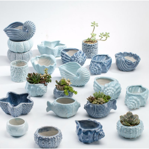 Chậu cây sò biển động vật biển xanh lam CHAU44 trồng hoa sen đá cây cảnh cute trang trí decor ống bút cắm đồ 10 đến 12cm