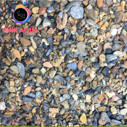 Sạn suối trải nền trang trí bể cá bể thủy sinh 500g