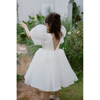 Alice Organza Dress Lillie & Fairies