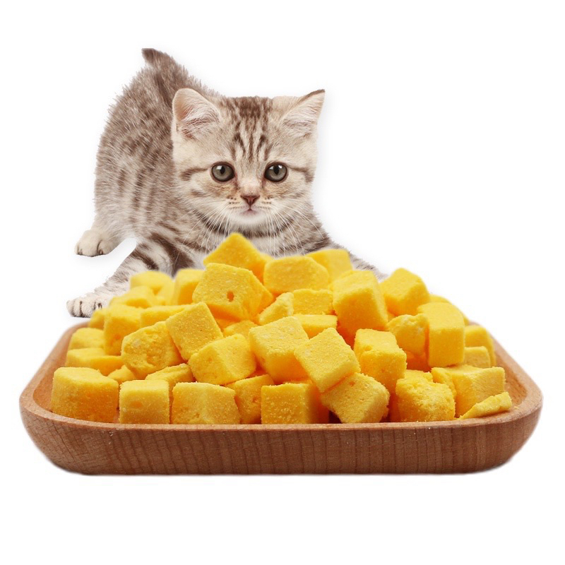 Gói lớn 500g Lòng đỏ trứng đông khô sấy lạnh Nhím Xù Petshop dinh dưỡng cao