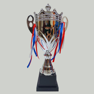 CUP BÓNG ĐÁ GIÁ RẺ - CUP 2003 VÀNG, BẠC ( Miễn phí thiết kế & in ấn )