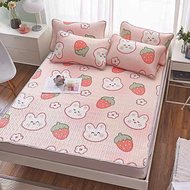 Chiếu Điều Hoà Cao Su Non 3D dày dặn nặng từ 2kg - BaoLamDream