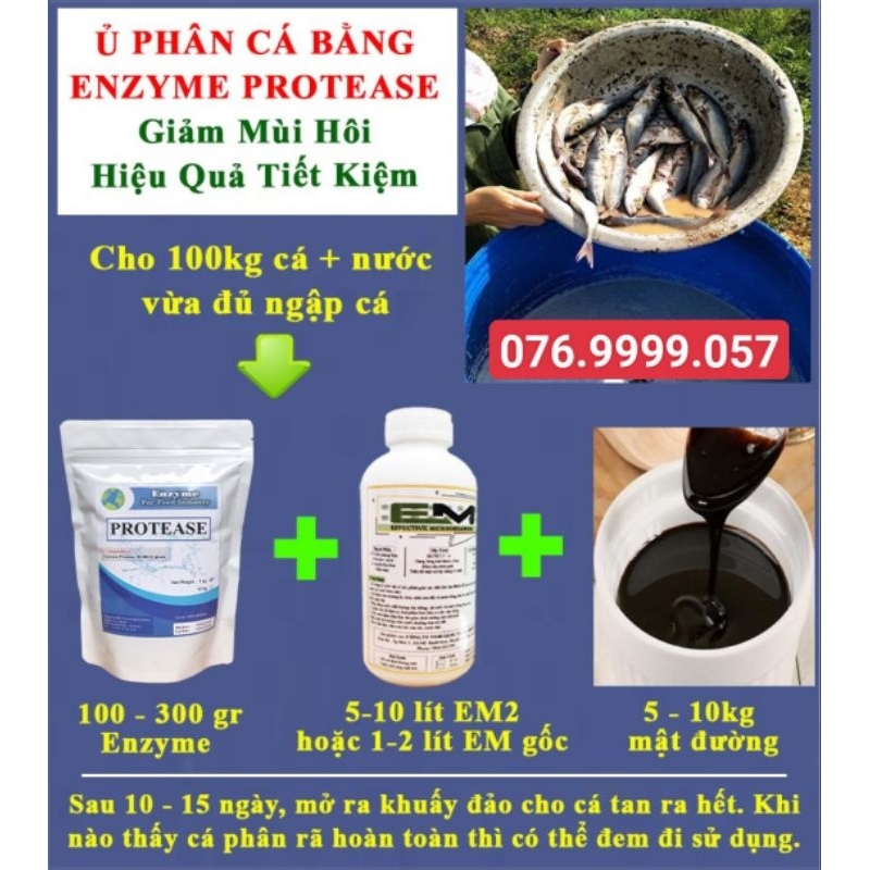 Men Ủ Phân Cá Enzyme Protease phân giải protein sản xuất nước mắm,  phân bón hữu cơ # Enzyme Protease Nguyên liệu