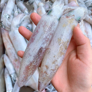 500gr mực full trứng