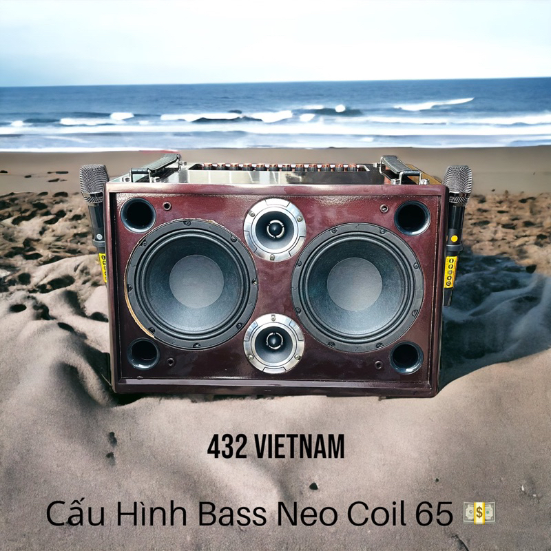 VỎ THÙNG VÀ LOA THÀNH PHẨM 2 BASS 20 MẠCH K160 K180 VÀ 2 TRÉP BÌNH 14A MICRO CAO CẤP NHẤT
