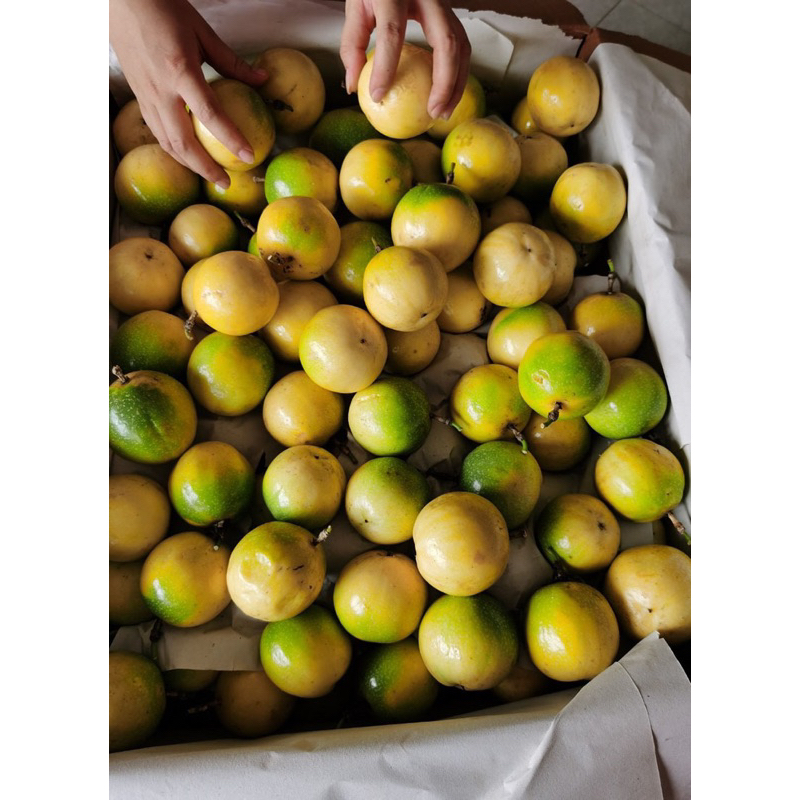 HẠT GIỐNG CHANH DÂY VÀNG - 5 hạt/ gói