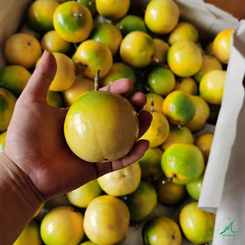 HẠT GIỐNG CHANH DÂY VÀNG - 5 hạt/ gói