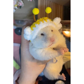 Nón hamster, sóc, bọ ú, rat,.... Bảng 3