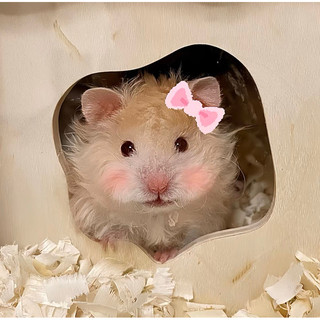 Nón hamster, sóc, bọ ú, rat,.... Bảng 3