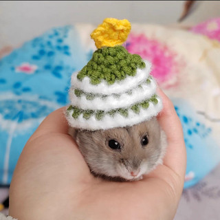 Nón hamster, sóc, bọ ú, rat,.... Bảng 3