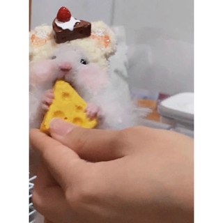 Nón cho hamster ,sóc ,… (có sẵn)