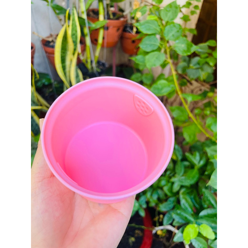 Chén Silicon nấu sáp wax nóng mini  dễ vệ sinh,bóc tách sáp thừa