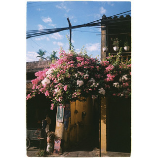 [Hanoi Film] Phim Uxi 200