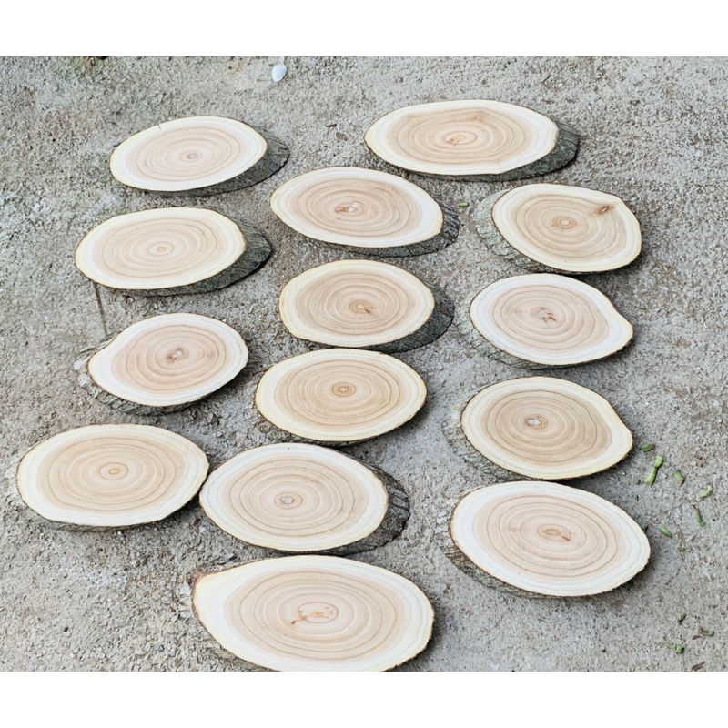Khoanh gỗ hình ovan kích thước  25-30cm