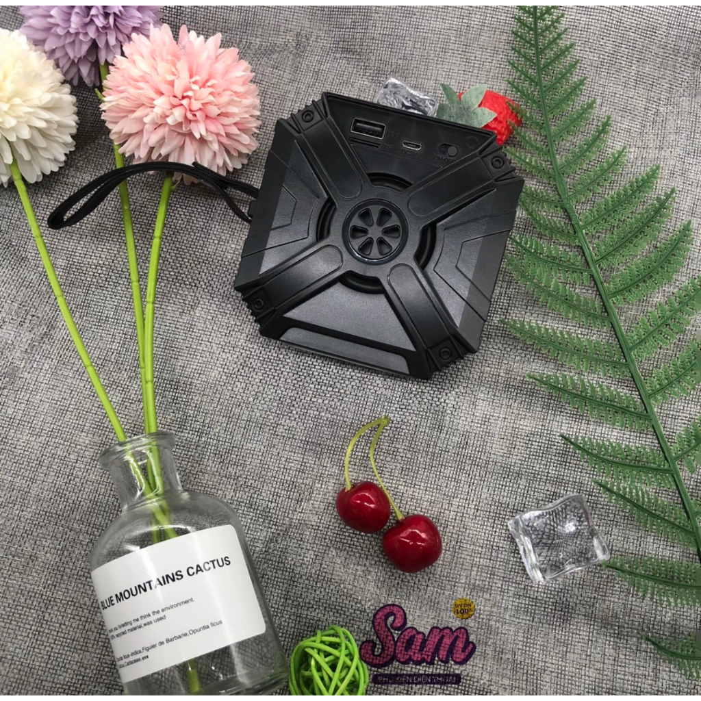 Loa Bluetooth BOROFONE BP6