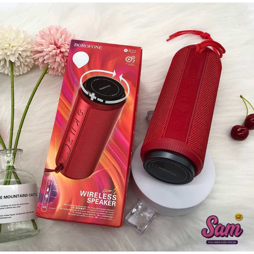 Loa Bluetooth BOROFONE BR22